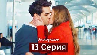 Зимородок 13 Cерия (Русский дубляж)