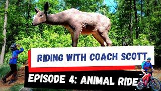 Riding with Coach Scott Ep 4: Animal Scavenger Hunt Ride