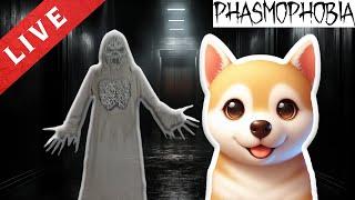 SEARA HORROR ALATURI DE FANTOME┃LIVE