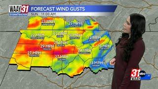 Amber Kulick's Saturday Evening Forecast 1/4/25