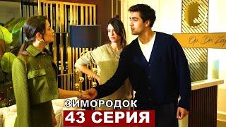 Зимородок 43 серия русская озвучка