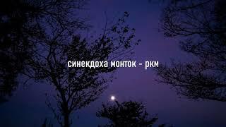 синекдоха монток - ркм (slowed + reverb)