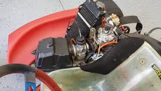 Birel Rotax 125