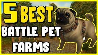 5 Best Battle Pet Farms In WoW BFA 8.2 - Gold Farming, Gold Making