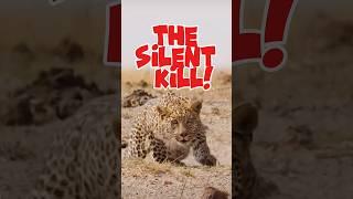 "The Silent Predator: 5 Wild Leopard Encounters You Won’t Believe!"  #animals #shorts