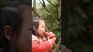 The Art of Gourd Crafting: Making a Traditional Water Vessel #DIYGourd #LacquerGourd #GourdBottle