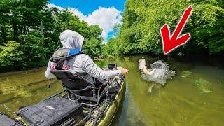 Exploring A BRAND NEW Creek FULL of Bass