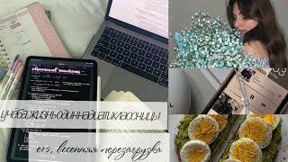 Study with me| Жизнь одиннадцатиклассницы| готовлюсь к ЕГЭ