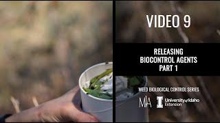 9.  Releasing weed biocontrol agents (Part 1: Release preparation)