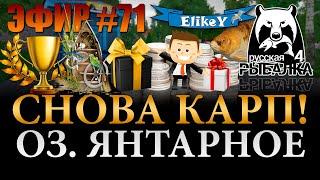 Розыгрыши Алкоголя! • Копим 30.000 • Трофейные Карпы • Оз. Янтарное • Русская Рыбалка 4 • ЭФИР #71