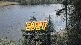 PJTV Identification #4