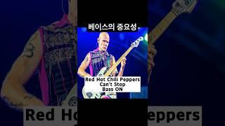 베이스의 중요성 Red Hot Chili Peppers Can't Stop #redhotchilipeppers #rhcp #shorts