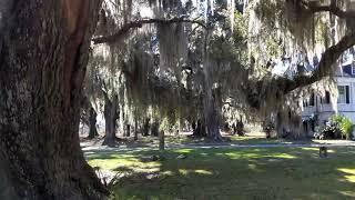 ace basin national wildlife refuge and the Grove plantation house