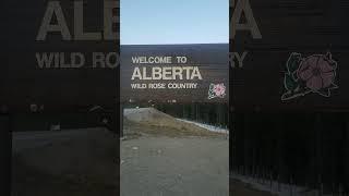 Wild Roses N' Stuff, Y'know? #welcome #to #alberta #wild #rose #country #roses #and #stuff #you #kno