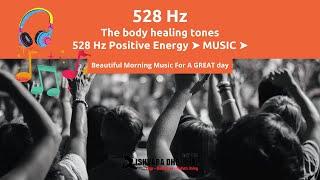 528 Hz Positive Energy  MUSIC   The body healing tones