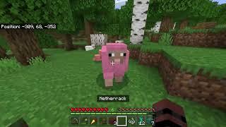 Young Me finds a pink sheep on Bedrock Edition