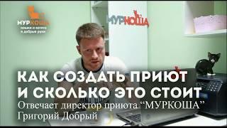 Сколько стоит создать приют для животных?