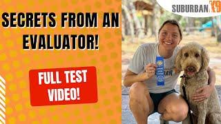 How to Pass The AKC Canine Good Citizen Test (CGC Test)