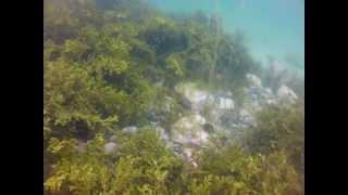 Lofoten diving GoPro HD Hero2