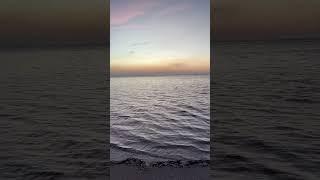 This is paradise #ocean #beach #sunset #asmr #nature #birds#waves