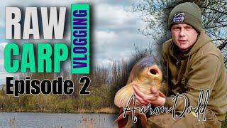 NASH ROYSTON FISHING - WOOD LAKE | CARP FISHING 2023 - RAW CARP VLOGGING