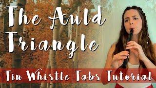 The Auld Triangle - Irish Music | Tin Whistle Cover & Tabs Tutorial