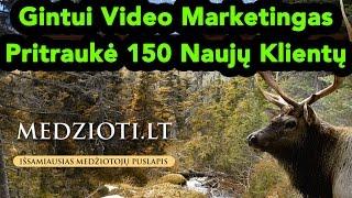 Kaip uždirbti internete  - Gintauto atsiliepimas apie video marketingą