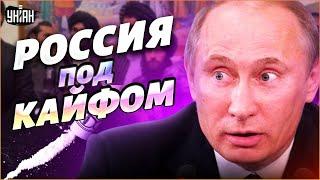 Кокаиновые скрепы. Как Путин подсадил россиян на наркотики