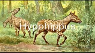 The Miocene Epoch