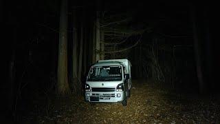 Sleeping alone in a car in a spooky forest, scared of something