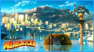 Hiding in Plain Sight 🫣 | Madagascar 3: Europe's Most Wanted | DreamWorks Madagascar