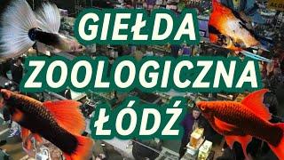 GIEŁDA ZOOLOGICZNA ŁÓDŹ 2023/2024 RELACJA