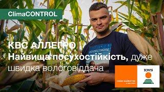 КВС АЛЛЕГРО (ФАО 250). Найвища посухостійкість, дуже швидка вологовіддача | ClimaCONTROL