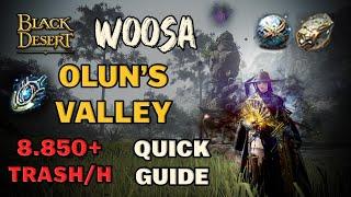 BDO | Best Party Spot - Olun's Valley Dehkia Lv.2 Guide & 1H Test | Woosa Succ | 8850 Trash Per H