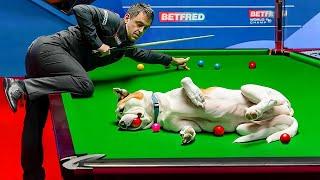 UNEXPECTED SNOOKER MOMENTS..