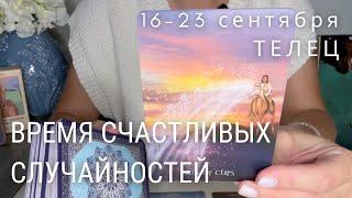 ТЕЛЕЦ : Чудеса случаются там, где в них верят! | Неделя 16-23 сентября 2024