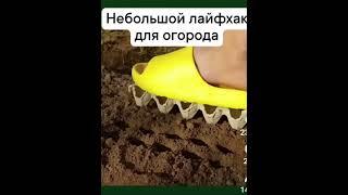Лайфхак