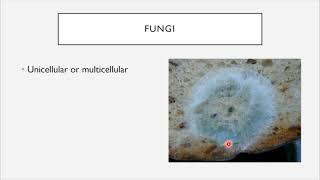 BIO 205 - Chapter 1 - An Invisible World