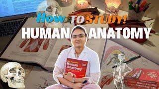 How to study anatomy in BDS 1st year | Head and Neck | Notes & Trips and Tricks