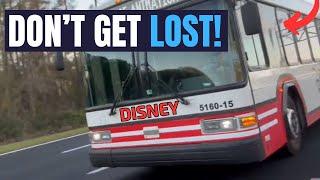 What You Need to Know About DISNEY WORLD Transportation