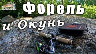 Дикая форель. Окунь. Рыбалка в Ленинградской области. Июнь 2020.