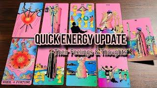 Their Feelings & Thoughts  Quick Energy Update  Timeless Tarot  Hindi-Urdu 