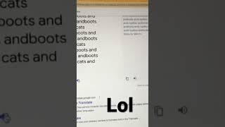 Google translate beatbox!!!???(siri version)