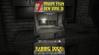 7 Days to Die - Raining Dogs #gaming #7dtd #deadbydaylight