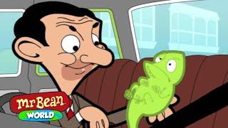 Mr Bean's Lizard Friend! | Mr Bean Animated Cartoons | Mr Bean World