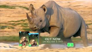 Africa - Out now on Blu-Ray & DVD