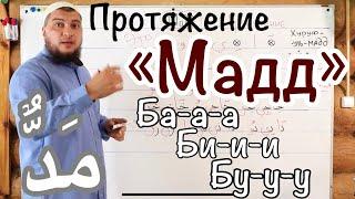 Урок № 4: "Мадд" ( ّمَد ) - "Протяжение Гласных" (харакатов)