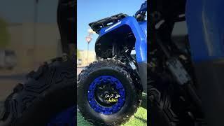 sharmax Hammer 320: The Ultimate Off-Road Experience!