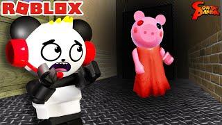 Escape from PIGGY in Roblox! Let’s Play Roblox Piggy with Combo Panda