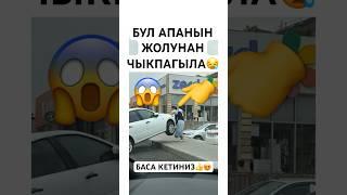 МААНАЙ УЧУН  #тикток #моялошадь #юмор #лошадки #тренд #дуэт #прикол #automobile #танцы